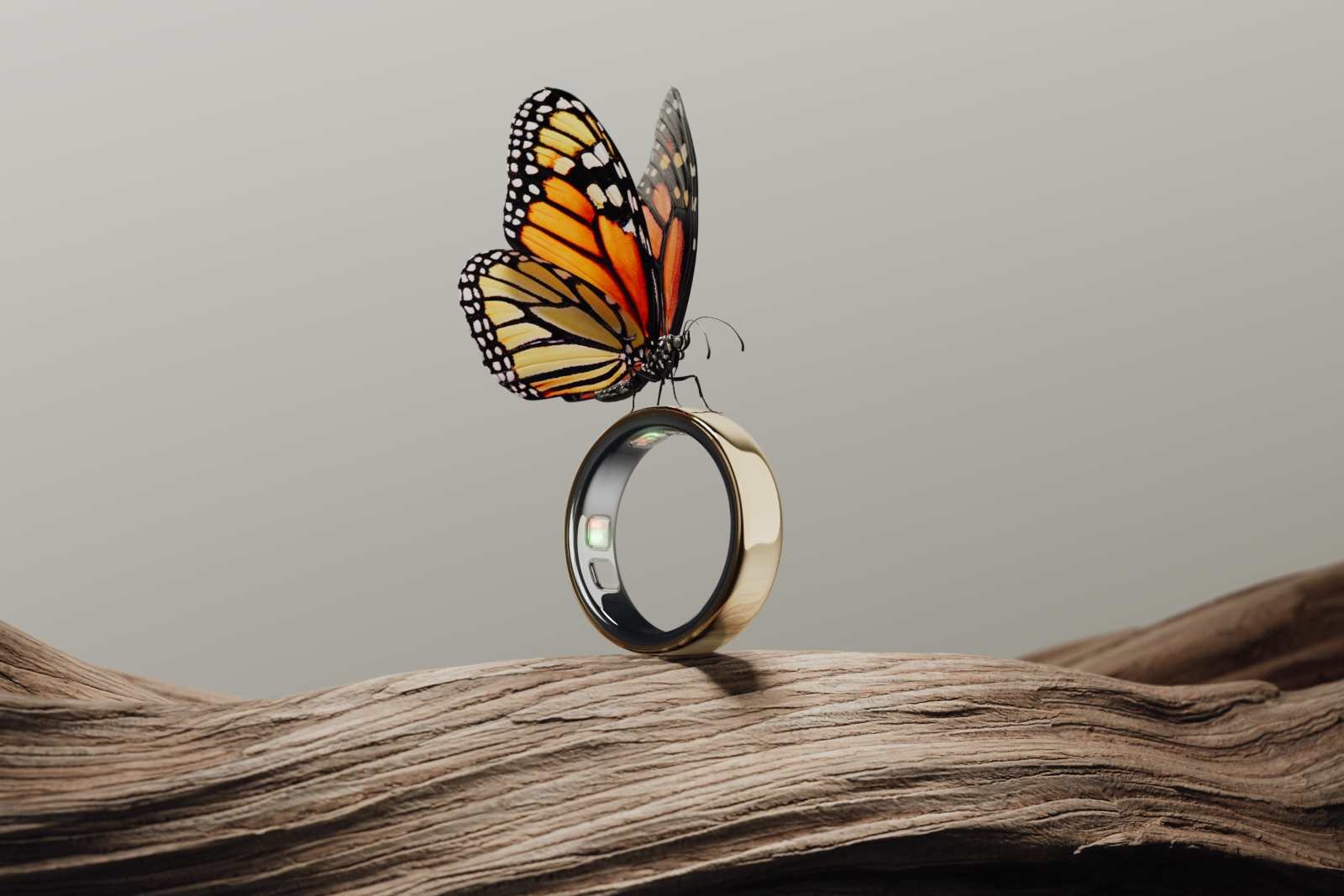 Oura Ring 5 Review: Why the Smallest Smart Ring Is Moving Beyond Tracking