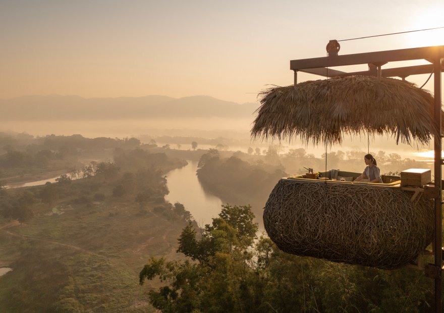 Elephants roaming through the jungle at Anantara Golden Triangle Elephant Camp & Resort in Chiang Rai, Thailand.