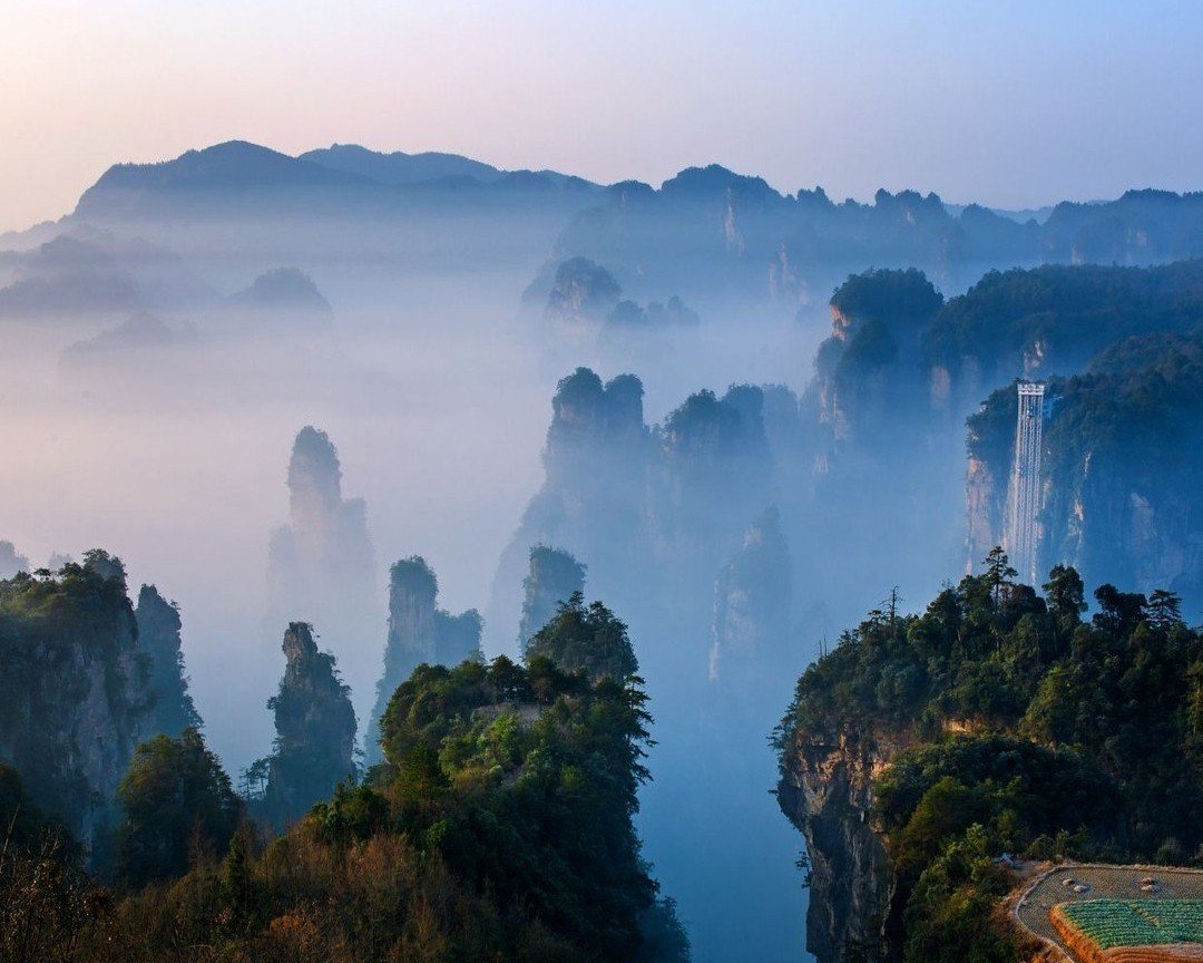 China’s New Wellness and Longevity Landscape